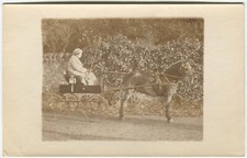 HORSE DRAWN CARRIAGE, WORKING HORSE, WOMAN - Social History Postcard, Real Photo