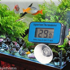 Aquarium thermometer - aquarium,