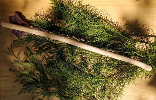 Elder wood wand healing - elder,