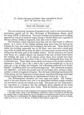 Early Chessmen of Whale Bone