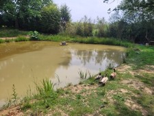 Medium / Large  Floating Duck Platform - With Two Tethering Points