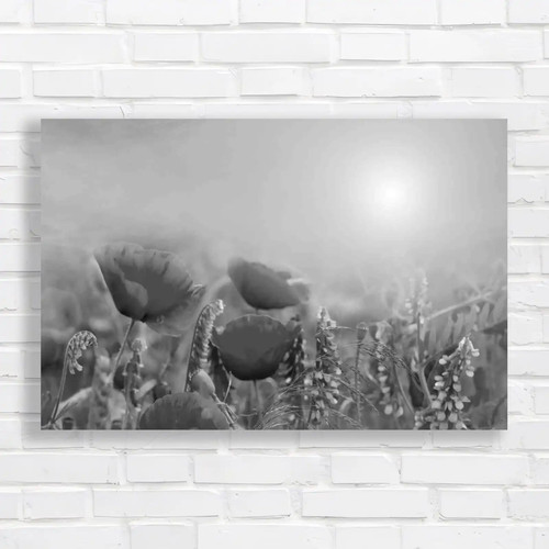 Captivating summer landscape - captivating,