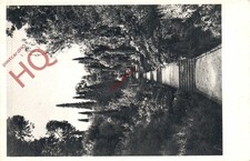 Picture Postcard_ La Mortola, Villa Hanbury, Stamped Reverse