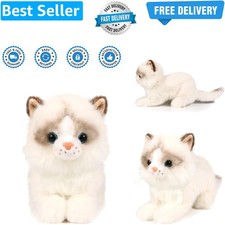 Little Ragdoll Cat Stuffed