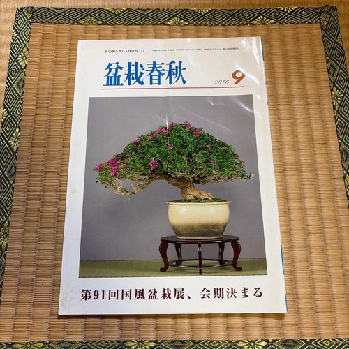 Bonsai shunju magazine - shunju,