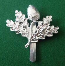 British Army Anodised (Staybrite) Cap Badge - South Nottinghamshire Hussars SNH