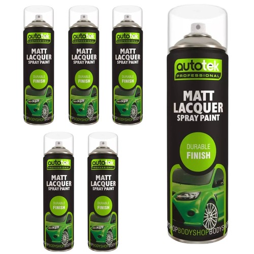Autotek matt lacquer - matt,