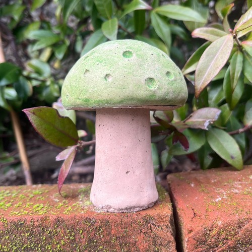 Concrete toadstool mushroom - concrete,