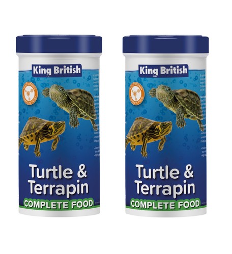 King british turtle - turtle, &