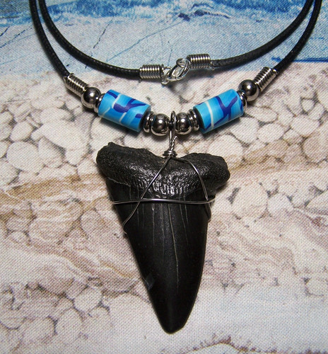 Mako shark tooth necklace - necklace, 2"