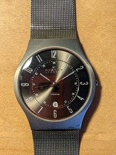 Skagen Titanium Watch 233XLTTN