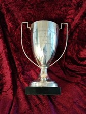 Silver Plate Trophy Cup for Repurposing 23cm. 