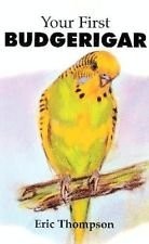 Your first budgerigar - first,