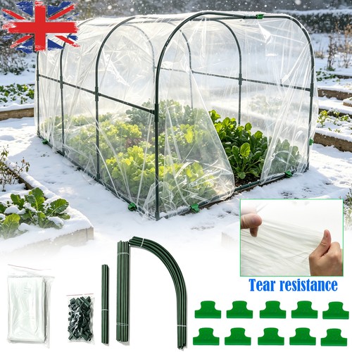Polytunnel plant garden tunnel - plant,