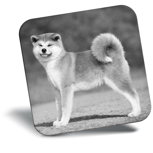 Awesome fridge magnet - fridge,