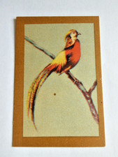 AUSTRALIAN TRADE CARD SERGEANT DAN BIRDS OF THE WORLD #37 GOLDEN PHEASANT 1950