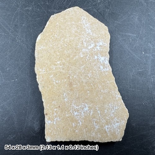 Fossil aepyornis eggshell - fossil,