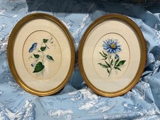 PR VICTORIAN BOTANICAL WATERCOLOURS IN OVAL FRAMES SIGNED