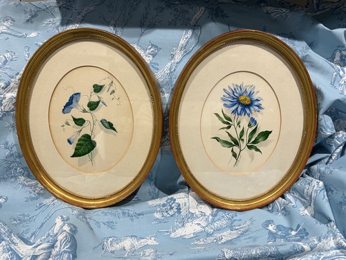 Victorian botanical - pr,