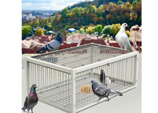 Mualrous pigeon dove bird trap - mualrous,