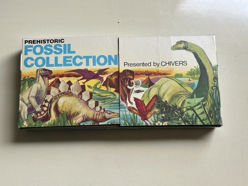 Chivers prehistoric fossil - prehistoric,
