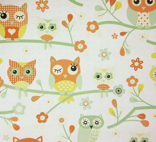 Room owls birds - my, tree