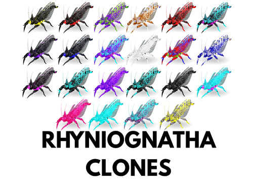 Rhyniognatha clones ark - clones,