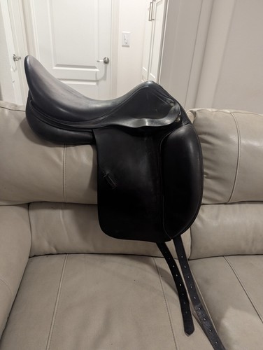 Amerigo classic dressage - amerigo,