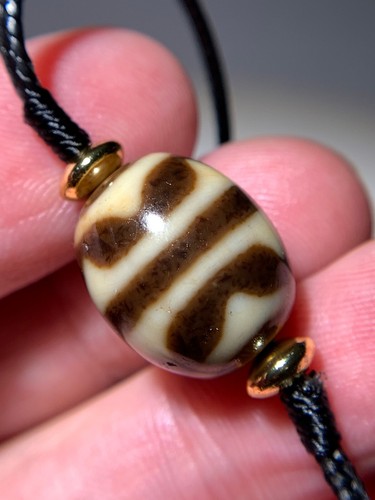 Dzi bead tiger tooth - tiger, "