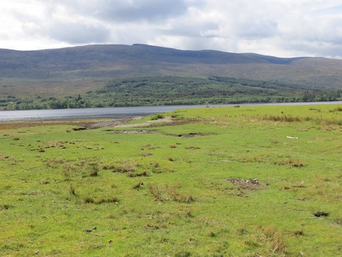 Photo shoreline grazing - photo, a3