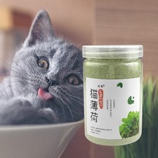 Catnip for Cats Catnip Dried