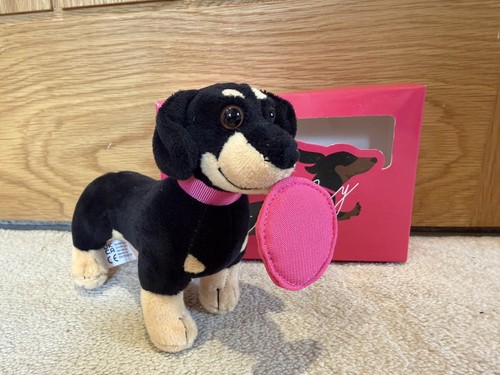 Stanley vitality dachshund - stanley,