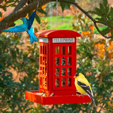Squirrel Proof Bird Feeder