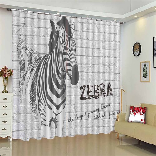 Zebra sky shine brightly - zebra,