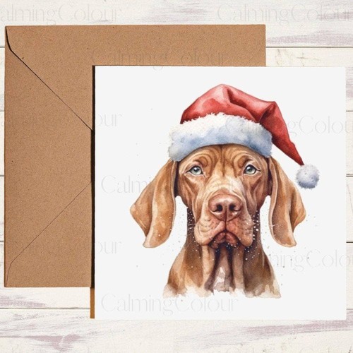 Vizsla with red - red, santa