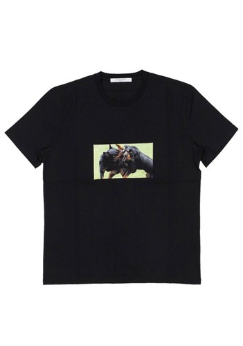 Givenchy rottweiler box logo - givenchy,