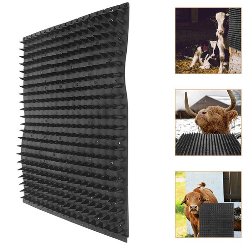Rubber cow itch stop scrubber - cow,