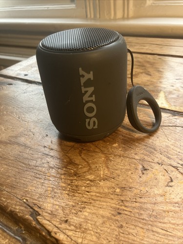 Sony srs portable - srs, xb-10