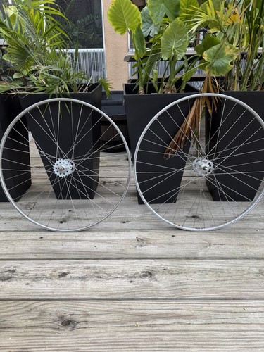 Campagnolo pista 36h - 36h, wheelset