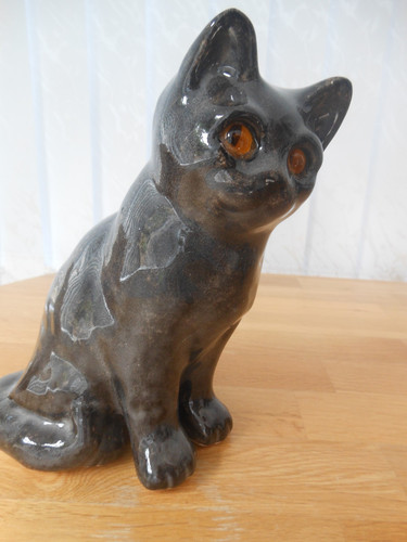 Winstanley cat rare dark - dark, grey