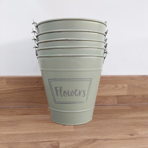 Set garden plant - plant, buckets