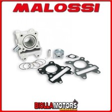 3113579 CYLINDER MALOSSI 66CC