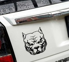 American Staffordshire Terrier