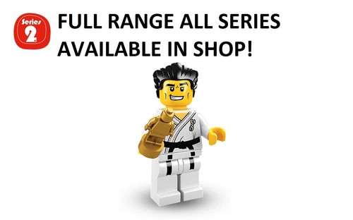 Lego karate master - , series