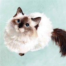 Cat Cute Blank Card Notelet