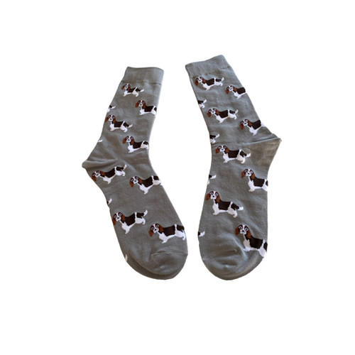 Springer spaniel dog - dog, print