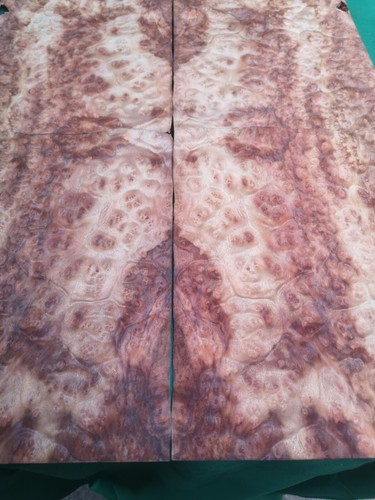 Camphor burr burl veneer 4 - camphor,