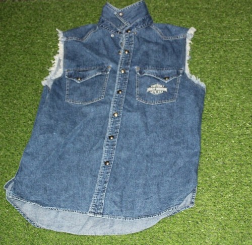 Harley davidson men med blue - harley,