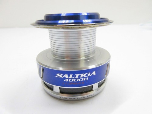 Daiwa saltiga 4000h - 10,