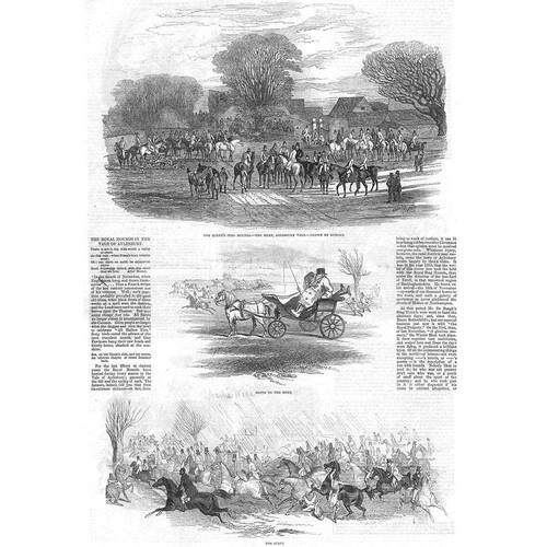 Hunting the royal hounds - the,